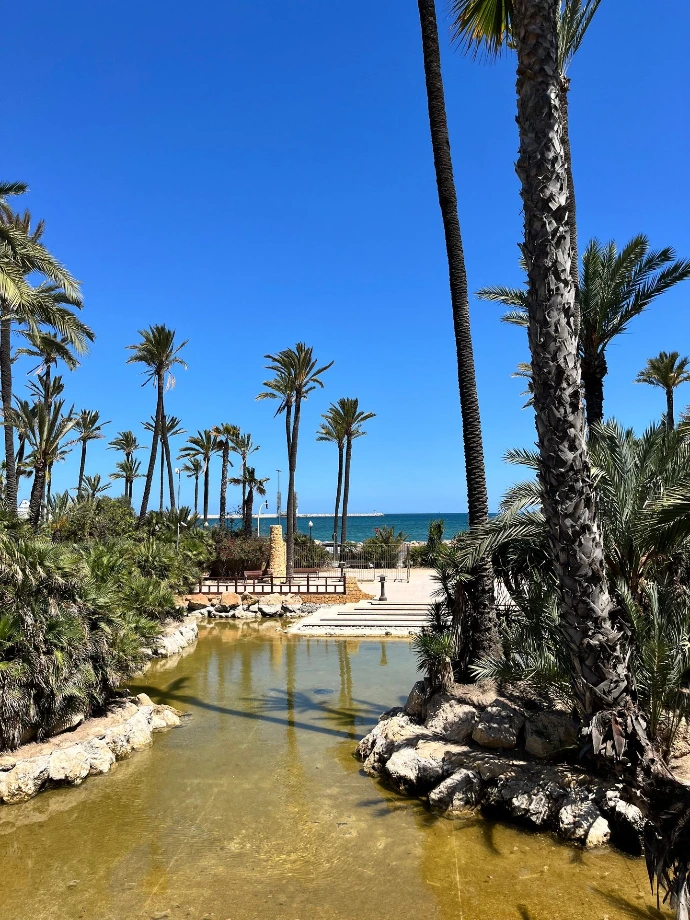 Parque El Palmerar, Alicante