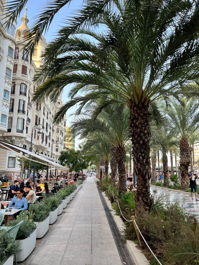 Esplanada de Espanha, Alicante