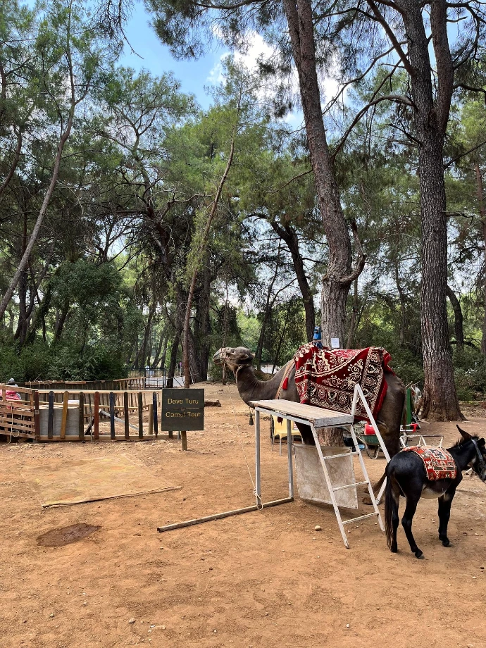 Cascata Kurşunlu, Antália