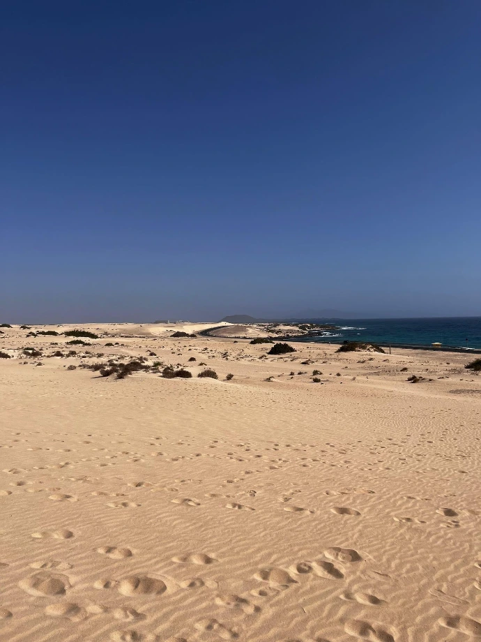 Dunas do Parque Natural de Corralejo