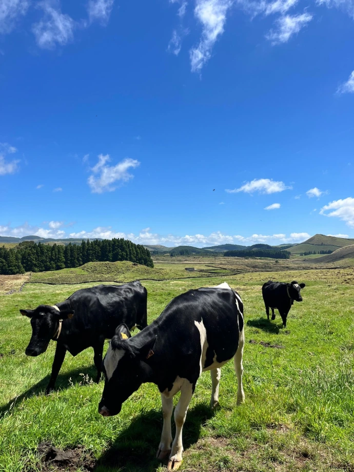 Trilho Mistérios Negros, Ilha da Terceira