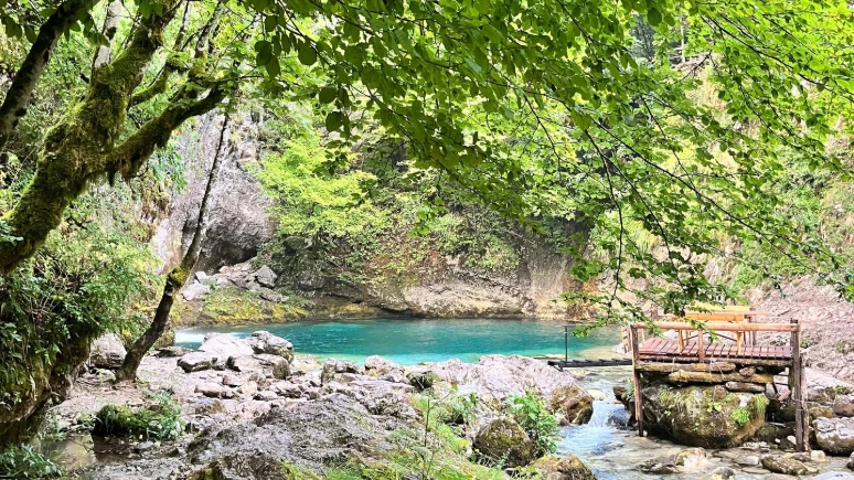 New Bazaar Tirana, Albânia