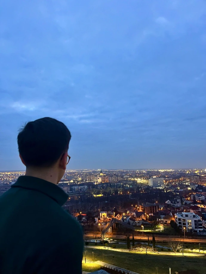 Mushroom Hill, Oradea