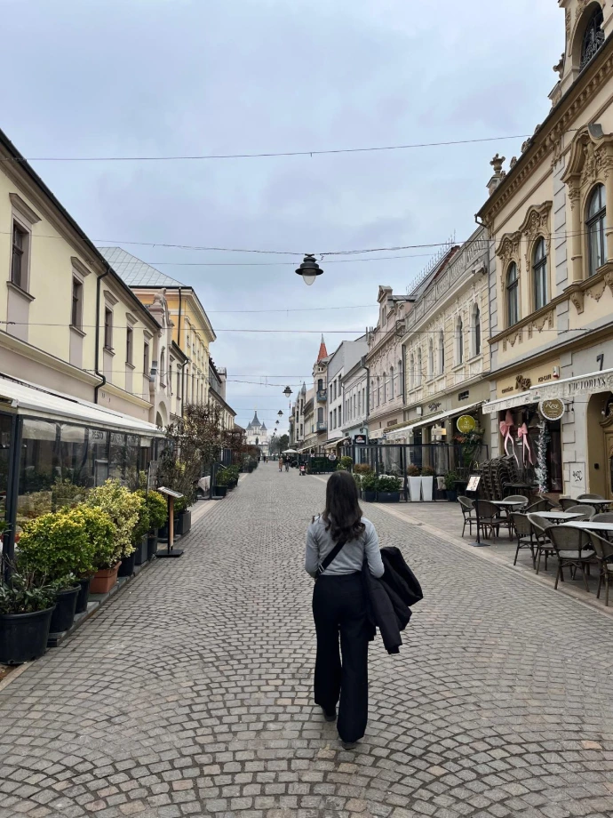 Gastronomy Boulevard, Oradea